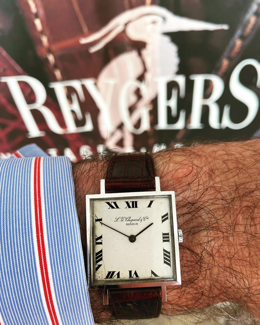 Reygers