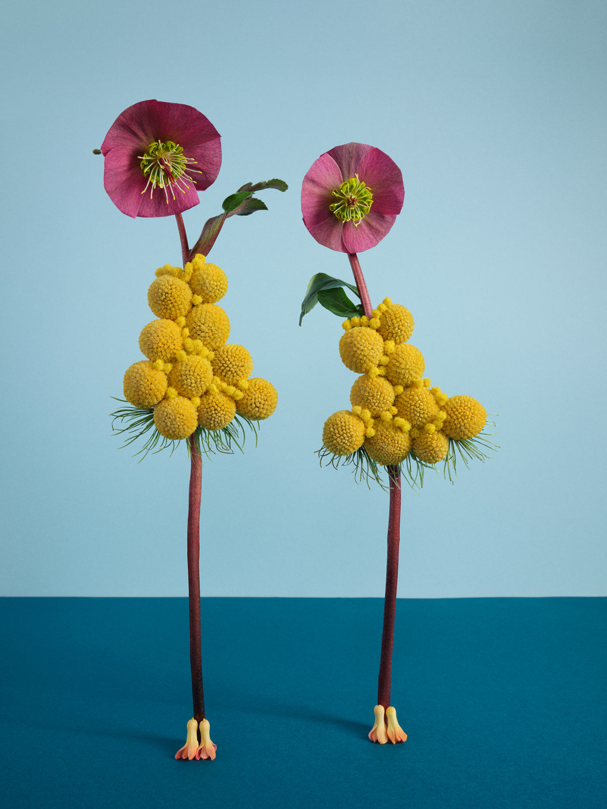 Natalie Strohmaier "UNATTAINABLE BEAUTY"